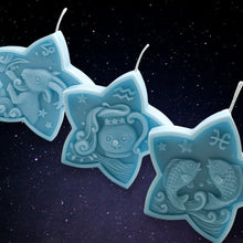 Load image into Gallery viewer, Pisces