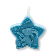 Load image into Gallery viewer, Capricorn